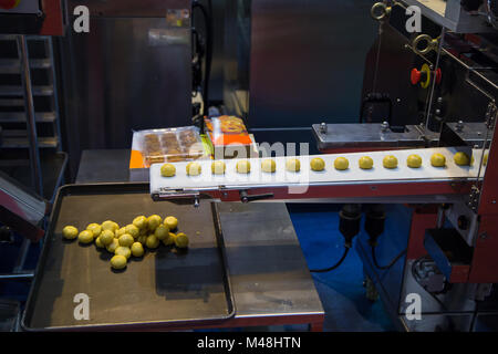 Divisore di impasto e rotonda palla di impasto rendendo la macchina Foto Stock