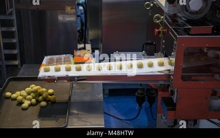 Divisore di impasto e rotonda palla di impasto rendendo la macchina Foto Stock