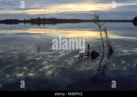 Atmosfera serale presso il lago Astotin / Elk Island National Park Foto Stock