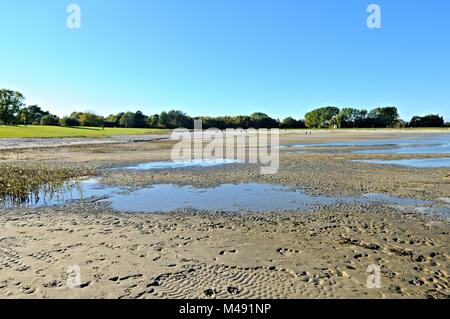 Eldena spiaggia balneare Greifswald Mar Baltico Germania Foto Stock