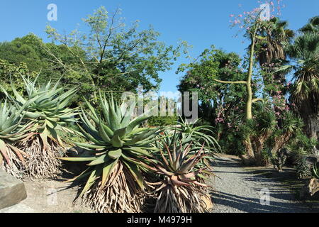 Paloma Park in Benalmadena, Andalusia Foto Stock