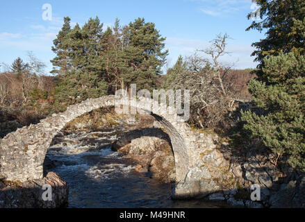 Il vecchio ponte Packhorse in Carrbridge, Scozia. Foto Stock