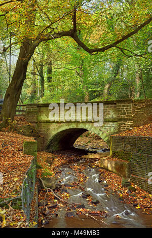 UK,South Yorkshire,Sheffield,Whiteley Lane Bridge & Porter Brook Foto Stock