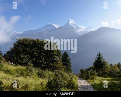 Catena hannapurna da Poon Hill il mattino - uno dei più visitati himalayana punti di vista in Nepal, in vista di Snow capped Himalaya Foto Stock