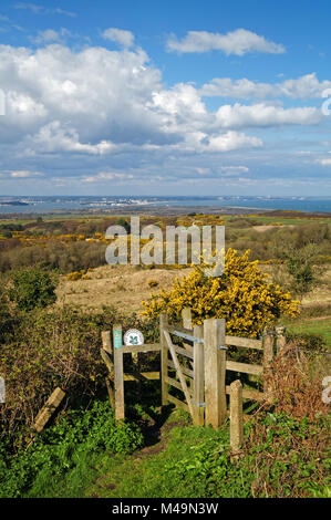 UK,Dorset,Isle of Purbeck,Newtown Viewpoint con Isola di Purbeck Golf Club,Godlingston Heath & Poole Harbour in distanza Foto Stock