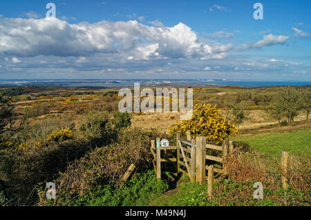 UK,Dorset,Isle of Purbeck,Newtown Viewpoint con Isola di Purbeck Golf Club,Godlingston Heath & Poole Harbour in distanza Foto Stock