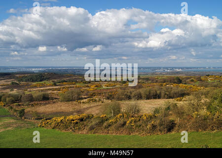 UK,Dorset,Isle of Purbeck,Newtown Viewpoint con Isola di Purbeck Golf Club,Godlingston Heath & Poole Harbour in distanza Foto Stock