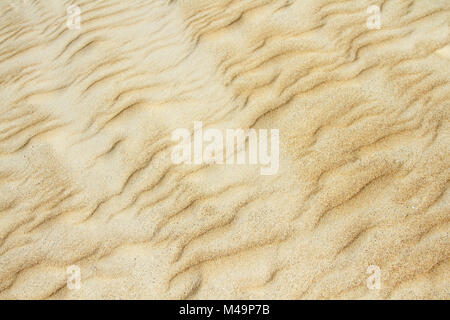 Giallo duna di sabbia la texture close up Foto Stock