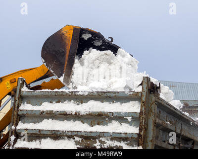 Caricamento di neve nei camion per la rimozione Foto Stock