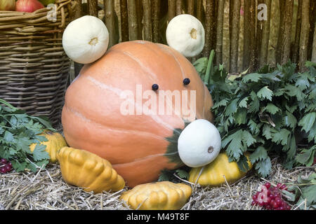 Funny figura in forma di suini fatta dalle zucche Foto Stock