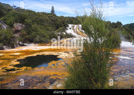 Area termale Orakei Korako,Taupo zona vulcanica,Nuova Zelanda Foto Stock