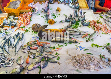 Pesce e frutti di mare in un mercato in Sicilia Foto Stock