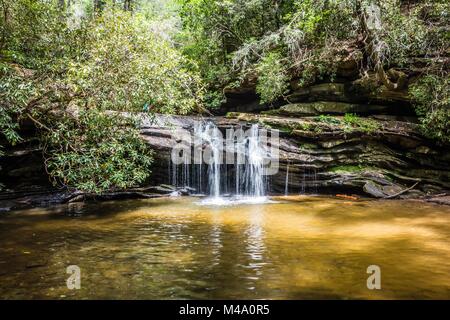 Vedute panoramiche lungo sentieri trailat table rock mountain Carolina del Sud Foto Stock