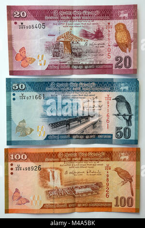 Banconote,varie banconote,20,50,100 Sri Lanka rupie,Sri Lanka Foto Stock