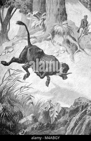 Buffalo Hunt o Hunter noi (incisione, 1880) Foto Stock