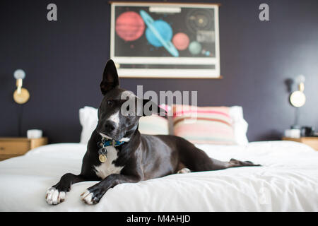 Aeroporto Internazionale di Denver durante il tramonto Foto Stock