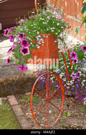 Biancheria da letto estate piante, miscelati nelle petunie e lobelia piantato in un ornamentali bicicletta vintage Foto Stock