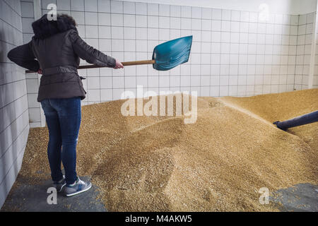 Produzione di vera farina di grano in un antico mulino in Erchie, Puglia Foto Stock