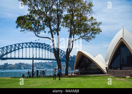Vista della Sydney Opera House e l'Harbour Bridge da Prato Bennelong, all'interno del Royal Botanic Garden, Sydney, NSW, Australia Foto Stock