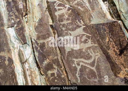 Antiche pitture rupestri in montagne di Altai, Russia. Foto Stock