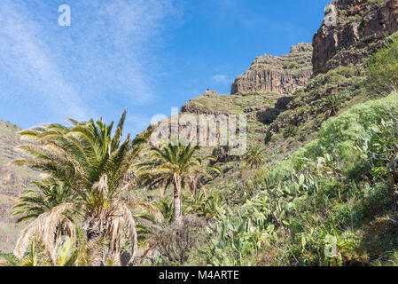 Sul sentiero a El Cercado su La Gomera Foto Stock