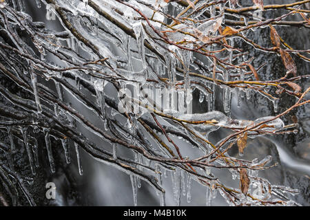 Ghiaccioli in un torrente, Lapponia, Svezia Foto Stock