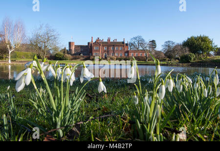 Snowdrops a Hodsock priorato di Blyth, vicino a Worksop nel NOTTINGHAMSHIRE REGNO UNITO Inghilterra Foto Stock