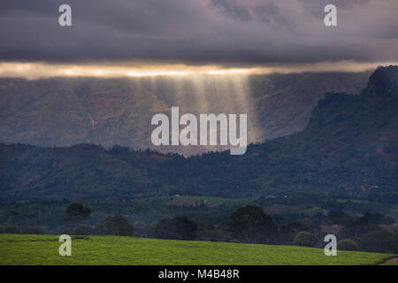 Drammatica coulds oltre una piantagione di tè sul Monte Mulanje,Malawi,Africa Foto Stock