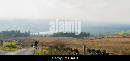 Uomo che cammina il suo cane sulle pendici della collina di inverno con la Rivington serbatoio e Lancashire pianura a distanza Foto Stock