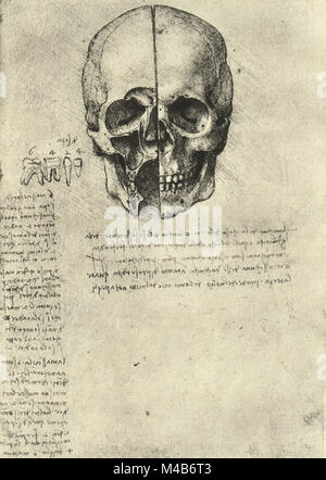 Due metà di un cranio, studio anatomico del cranio, disegnata da Leonardo Da Vinci, circa 1489 Foto Stock