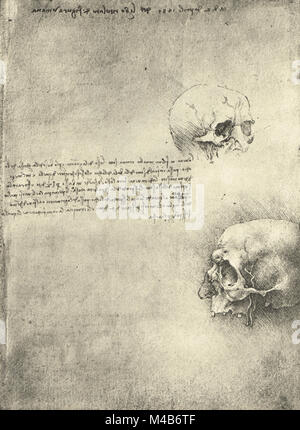 Due disegni, struttura ossea della testa, studio anatomico di teschi, disegnata da Leonardo Da Vinci, circa 1489 Foto Stock