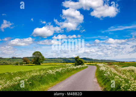 Estate paesaggio rurale con avvolgimento una corsia country road passando attraverso un paesaggio di campo verde sotto un cielo di estate blu nel Sud dell Inghilterra REGNO UNITO Foto Stock