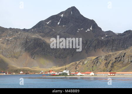 Grytviken, Georgia del Sud Foto Stock