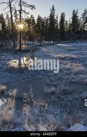 Trasformata per forte gradiente coperto di brina paesaggio, Lapponia, Svezia Foto Stock