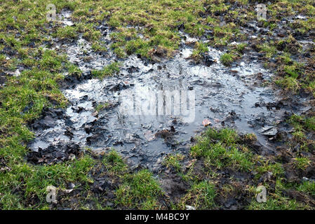 Molto profonda pozza su un lacerata da calcio che riflette alcuni alberi il passo di fronte a Edimburgo, Scozia. Foto Stock