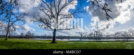 Dopo un inverno di pioggia in un TX parco dello stato. Foto Stock