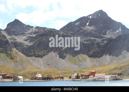 Grytviken, Georgia del Sud Foto Stock