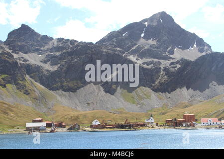 Grytviken, Georgia del Sud Foto Stock