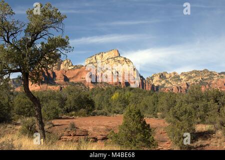 Le bellissime Red Rocks di Sedona su un sentiero di marcia Foto Stock