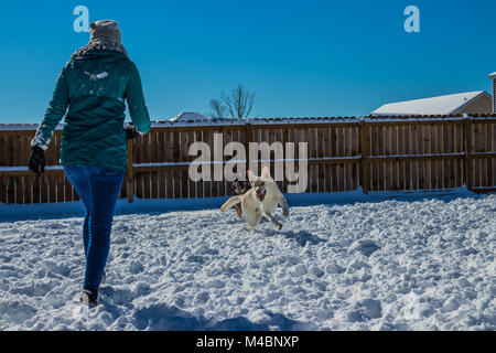 La donna gioca con due pastori tedeschi nella neve Foto Stock