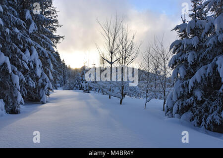 Tramonto in un profondamente coperta di neve foresta. La Baviera, Germania Foto Stock