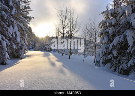 Tramonto in un profondamente coperta di neve foresta. La Baviera, Germania Foto Stock