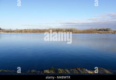 Danubio blu in inverno Foto Stock