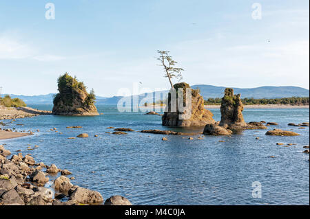 La roccia affioramenti di stack su Oregon Coast Foto Stock