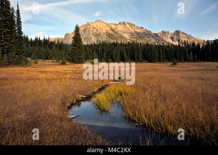 WA13455-00...WASHINGTON - Kangaroo crinale da un prato a Washington Pass si trova sulla North Cascades Highway. Foto Stock