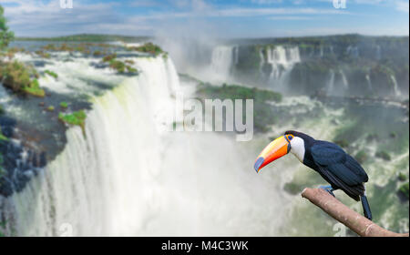 Toucan al Majestic cataratas Iguasu cade Foto Stock