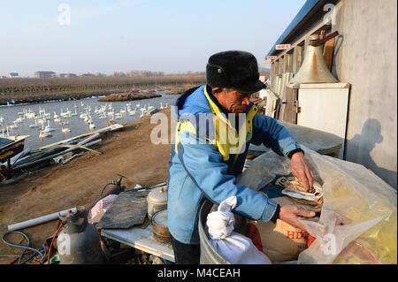 (180216) -- JINAN, Feb 16, 2018 (Xinhua) -- Yuan Xueshun prepara il cibo per i cigni a casa in Chengshan città di Rongcheng City, est della Cina di Provincia di Shandong, 14 febbraio, 2018. Yuan Xueshun, dubbed come "guardia wan,' ha dedicato himeself alla protezione dei cigni per oltre quarant'anni. Egli ha salvato più di mille malati o feriti cigni e riuscita a impedire che più di 1,000 um (66.67 ettari) di zona umida di essere distrutto dal 1975. Grazie agli sforzi compiuti da persone come Yuan, il Lago dei Cigni in Rongcheng è diventato un habitat ideale per i cigni in inverno. (Xinhua/Feng Jie) (mp) Foto Stock