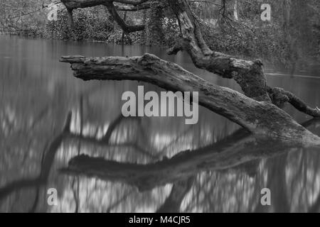 Esposizione di 5 minuti girato nel buio di un vecchio albero caduto creazione di riflessione nel fiume preso in Hampshire, Inghilterra Foto Stock
