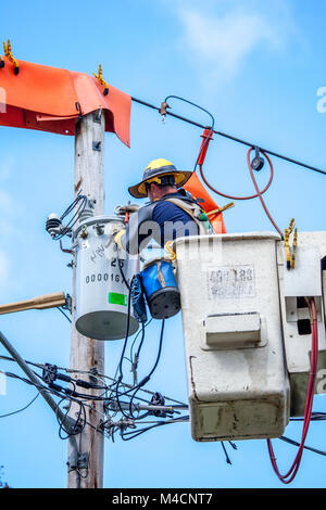 Un lineman riparazioni apparecchiature elettriche su un polo utilità lavorando da un elevato della piattaforma di lavoro chiamato anche un cherry picker. Foto Stock