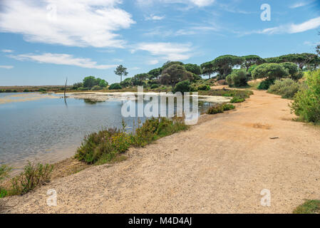 Quinta do Lago paesaggio, in Algarve, PORTOGALLO Foto Stock